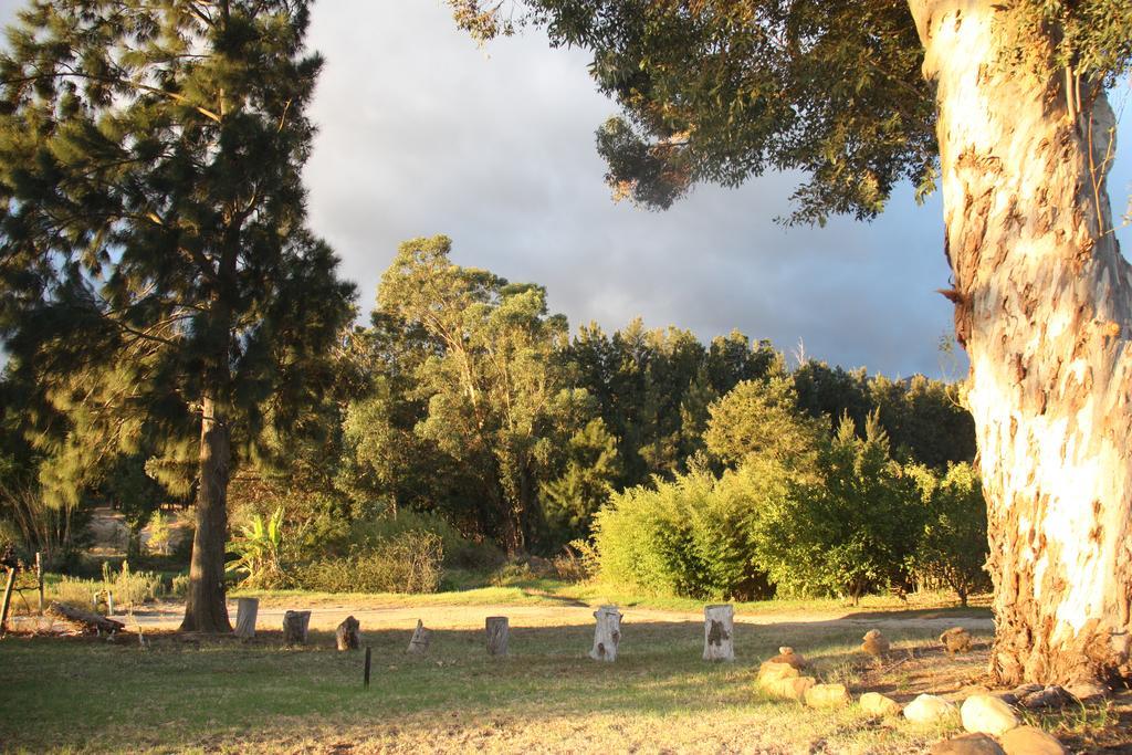 Calais Wine Estate Guest House Paarl Exterior foto