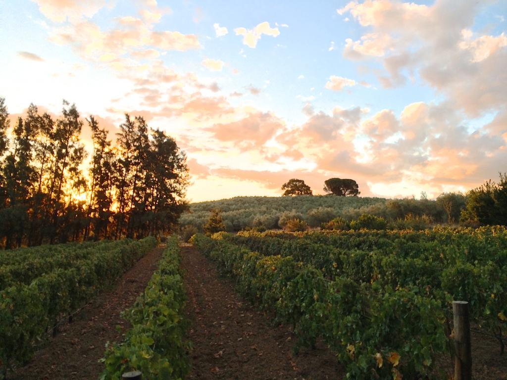 Calais Wine Estate Guest House Paarl Exterior foto
